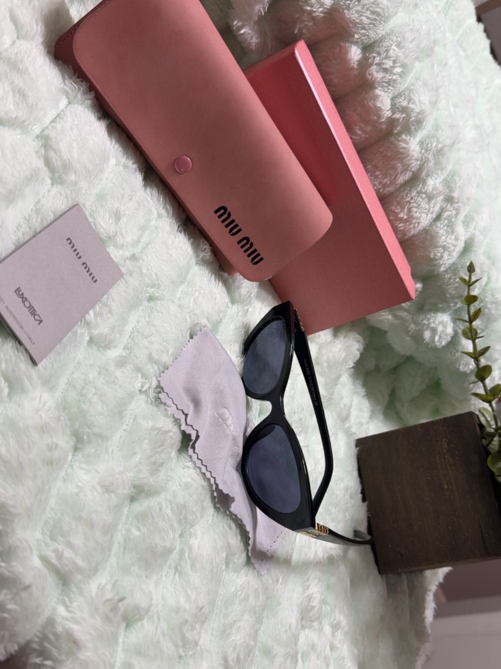 Miu Miu Black Cat-Eye Sunglasses with Pink Case